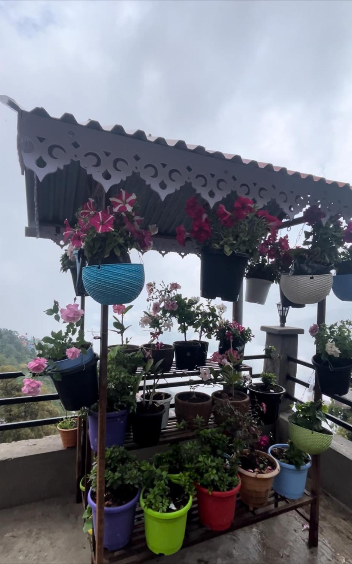 Shalom Inn Home Stay Darjeeling  Luaran gambar